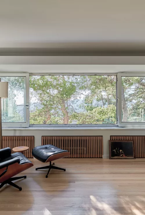 living room views with lounge chair
